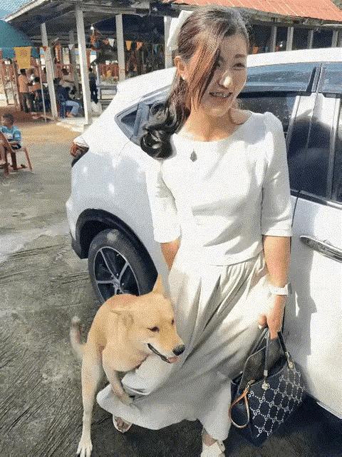 养狗最让人讨厌的五条应该有好转了：

1、养狗人素质差，出门遛狗不牵绳子，让狗随