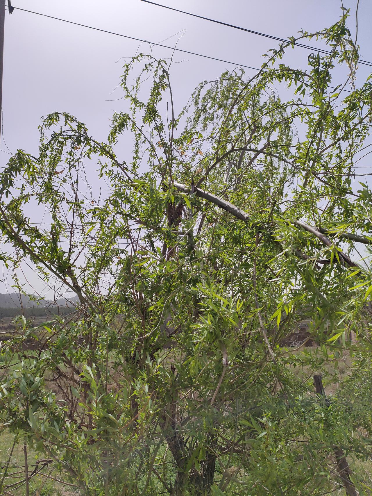 人这一辈子，别让欲望牵着走，也别把拥有的当理所当然。知足，就不会被烦恼困住，内心