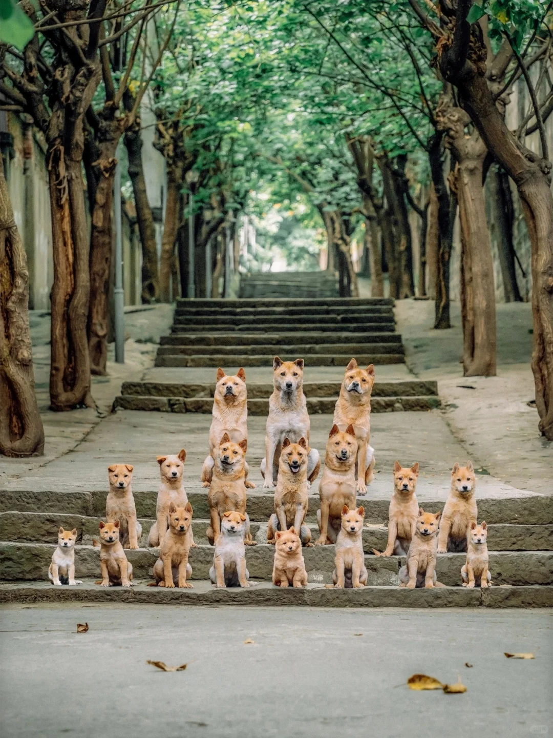 中国影史上最喜欢的演员大合照❗没有之一❗