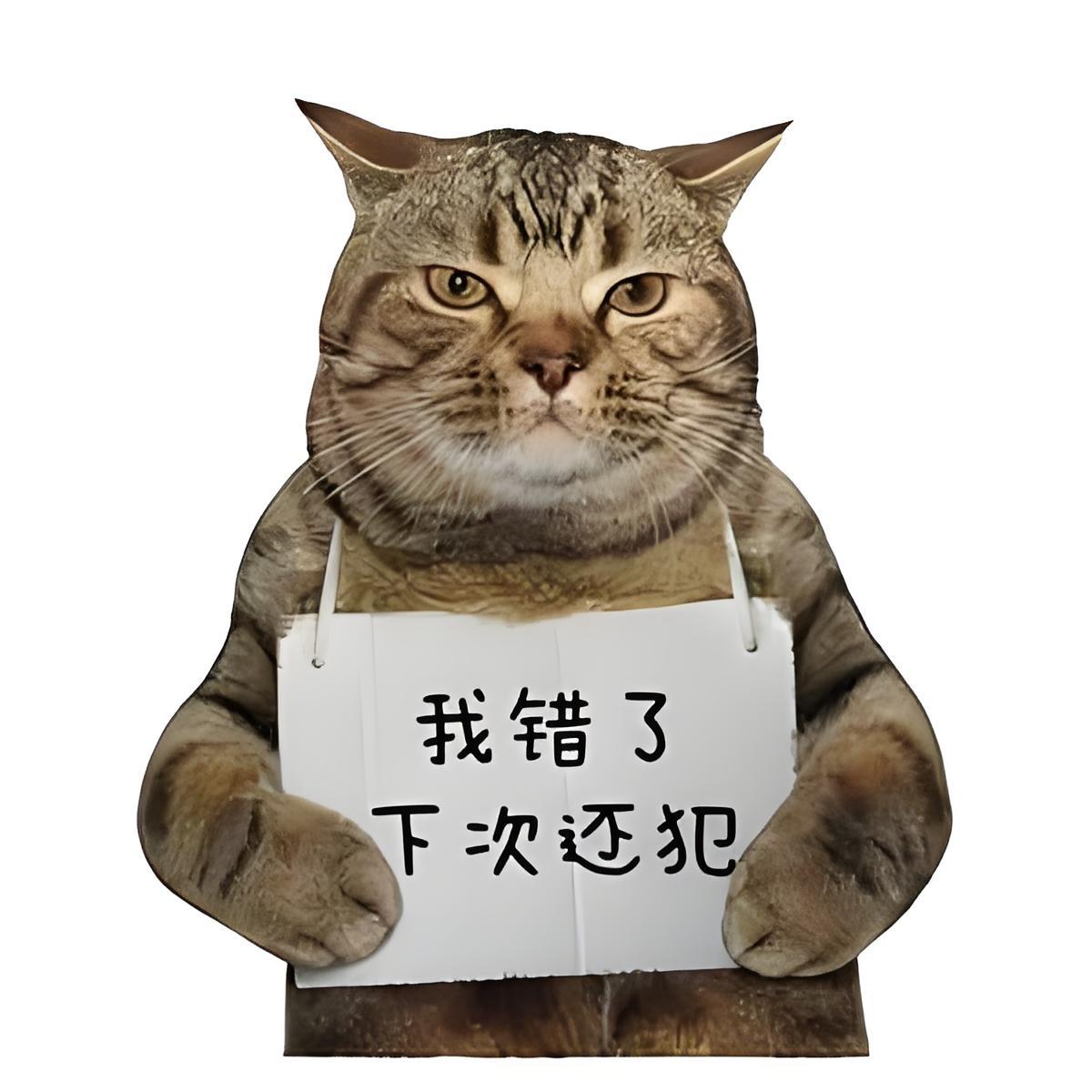 中国的小偷为何断崖式下降可能是接受教育的人越来越多，再者是法律法规更严格，抓的更