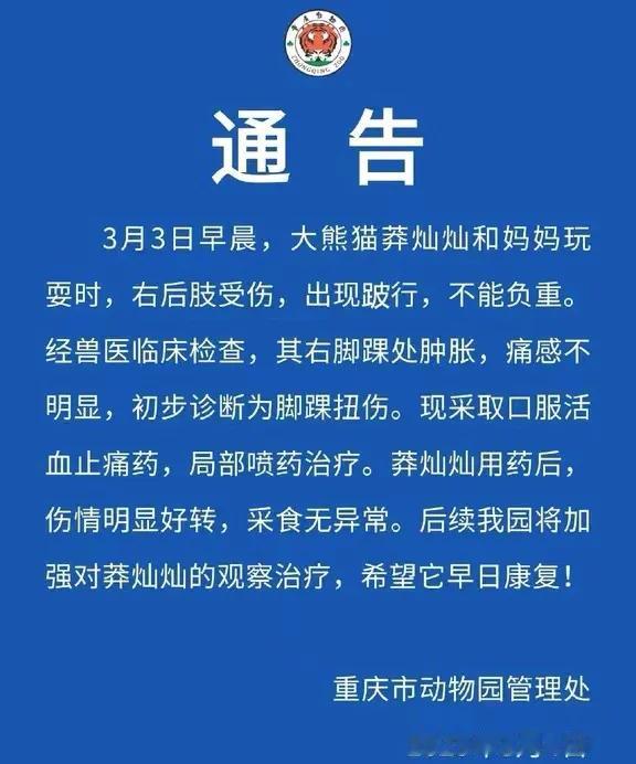 昨天看了这一张简单的通告，很有感触
为什么虫洞让那么多人夸，不是没有原因
好比渝