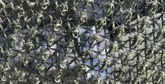 乌克兰无人机在天上横行的日子到头了？谁也没料到，终结它们的不是激光武器，不是电子