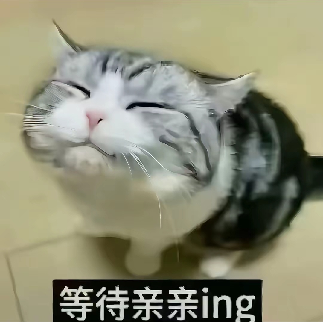 你会乖哦 ​​​