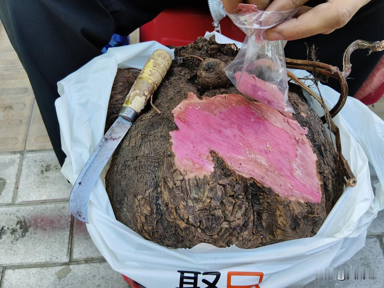 今天兰州七里河逛菜市场的时候，看到有两个贵州的，还是广西的人两个人正在卖塑料袋里