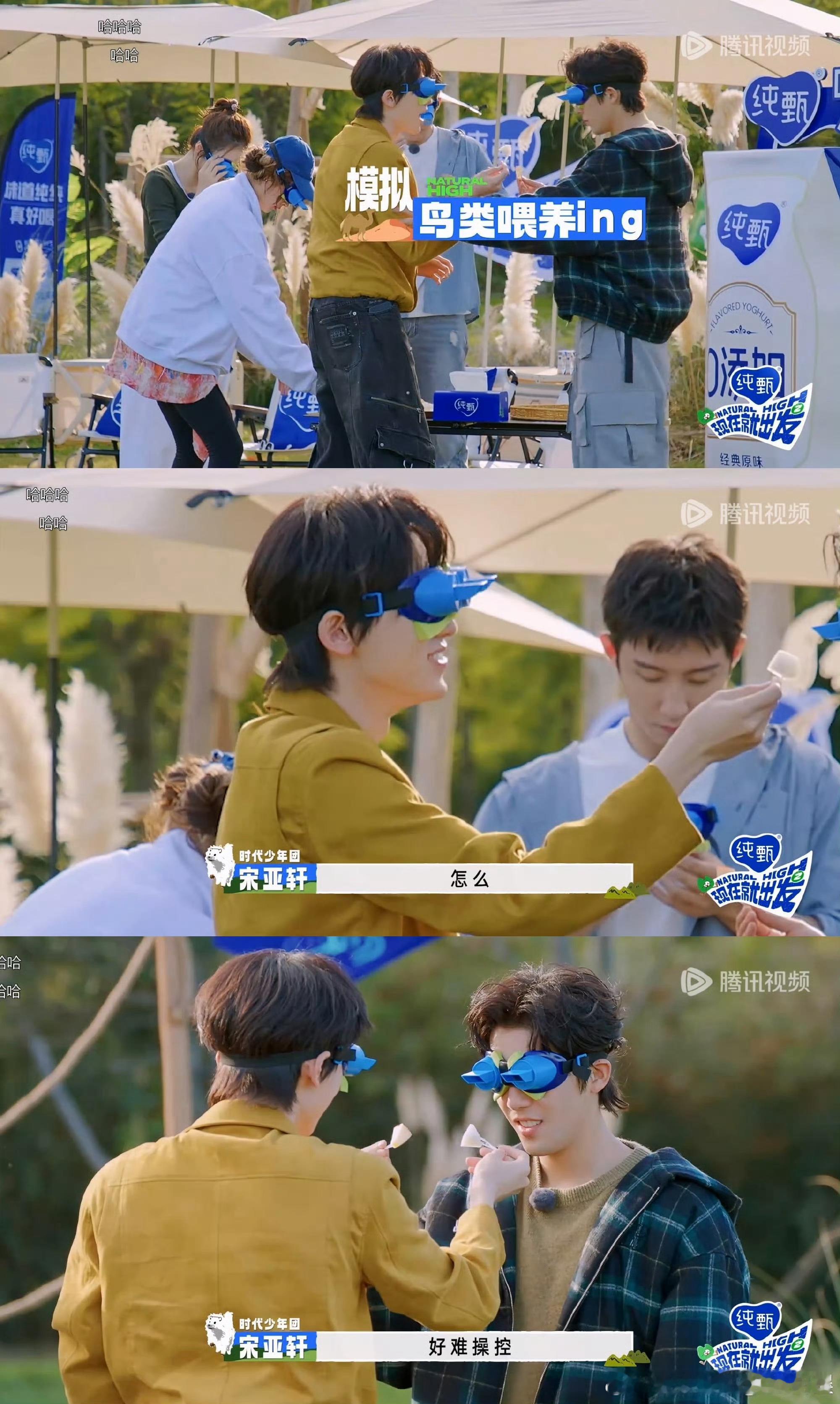 宋亚轩喂王安宇的麦吃苹果 这两活宝真的好好笑 