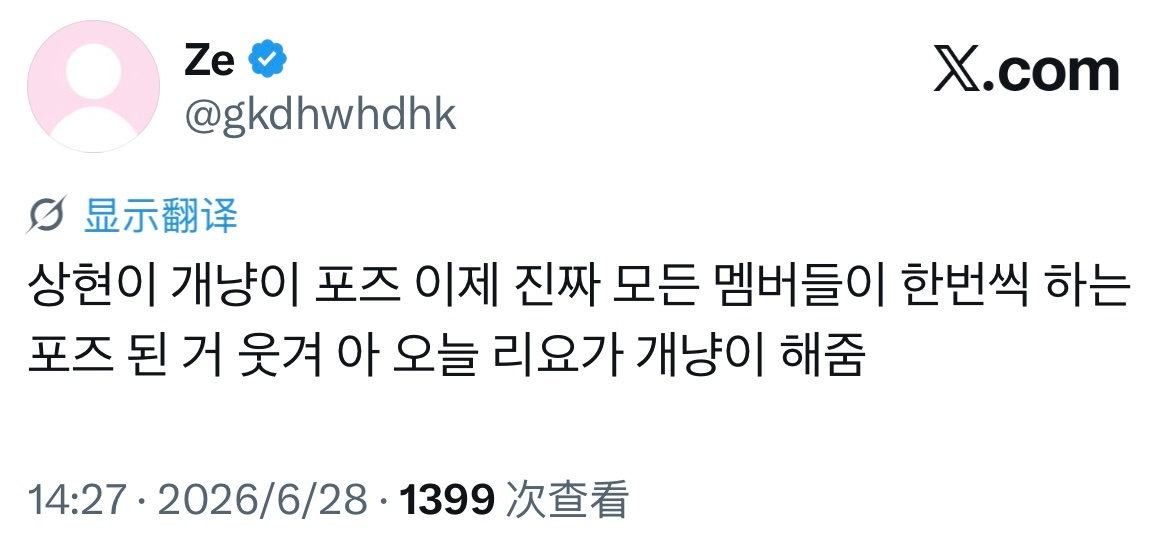 260628 横滨fancon相炫的小狗猫pose现在真的变成所有成员都会做一次