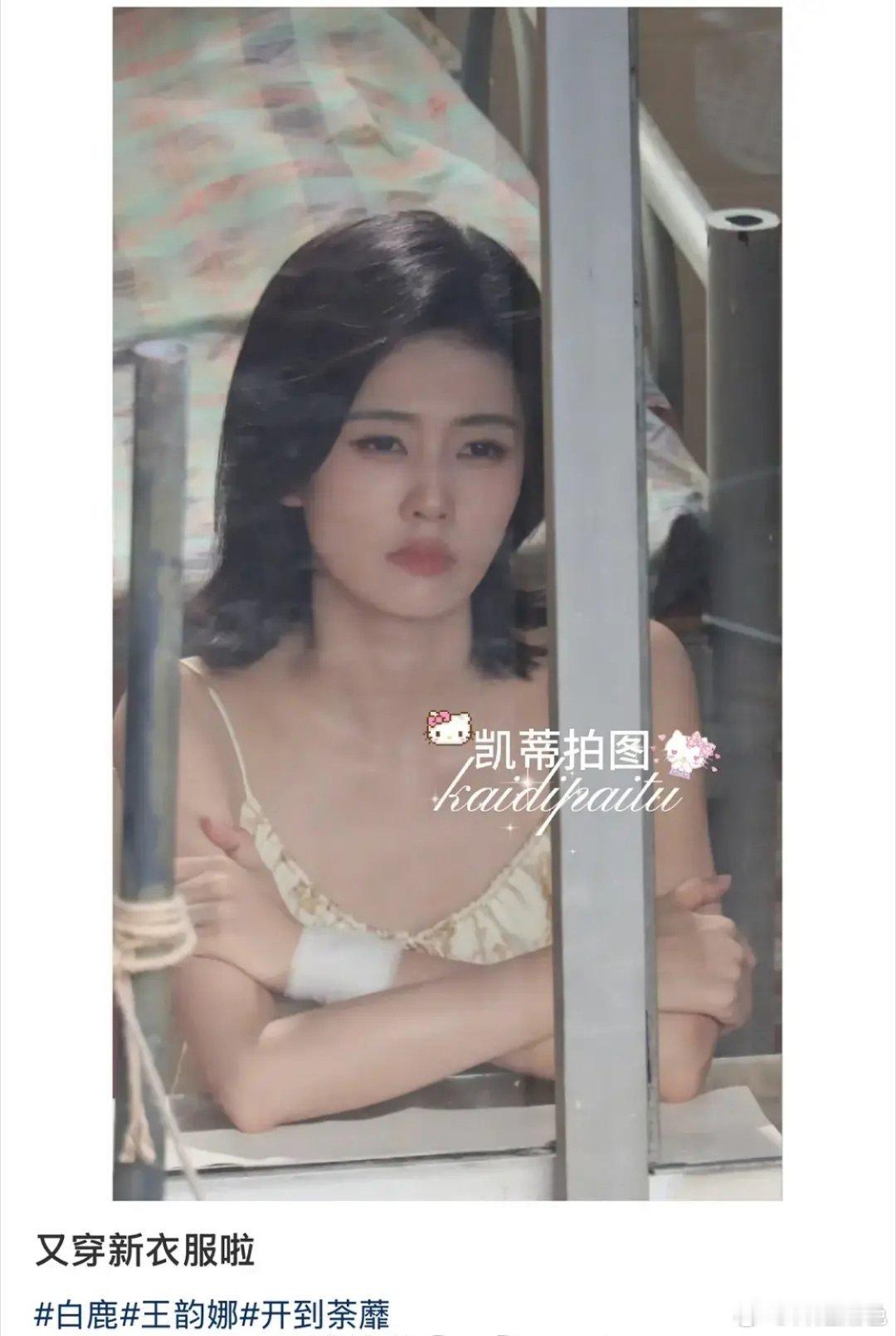 为什么没有人说白鹿有网红感呢 ​​​