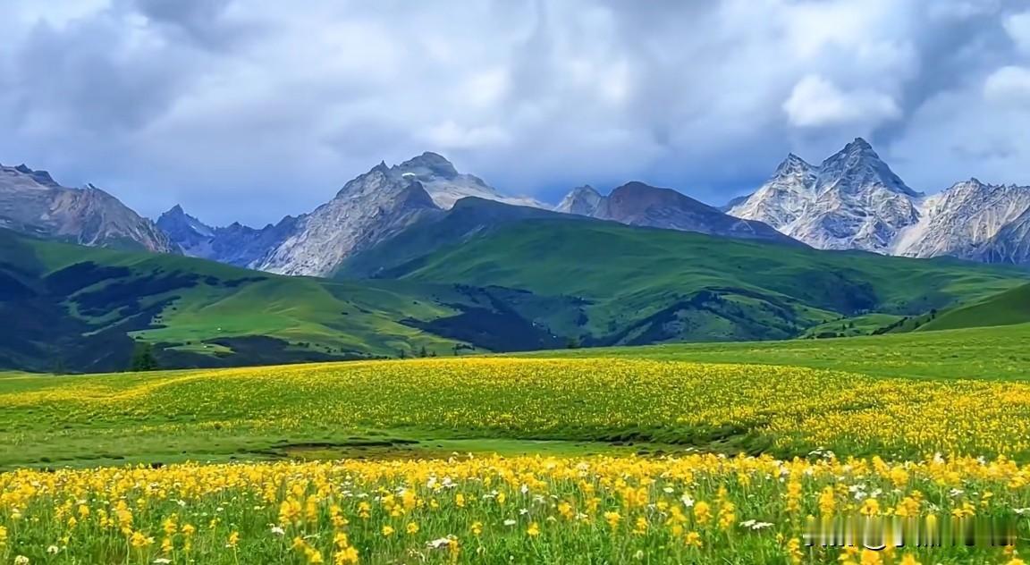 与其在焦虑中等待风暴过去，不如学会在雨中起舞。