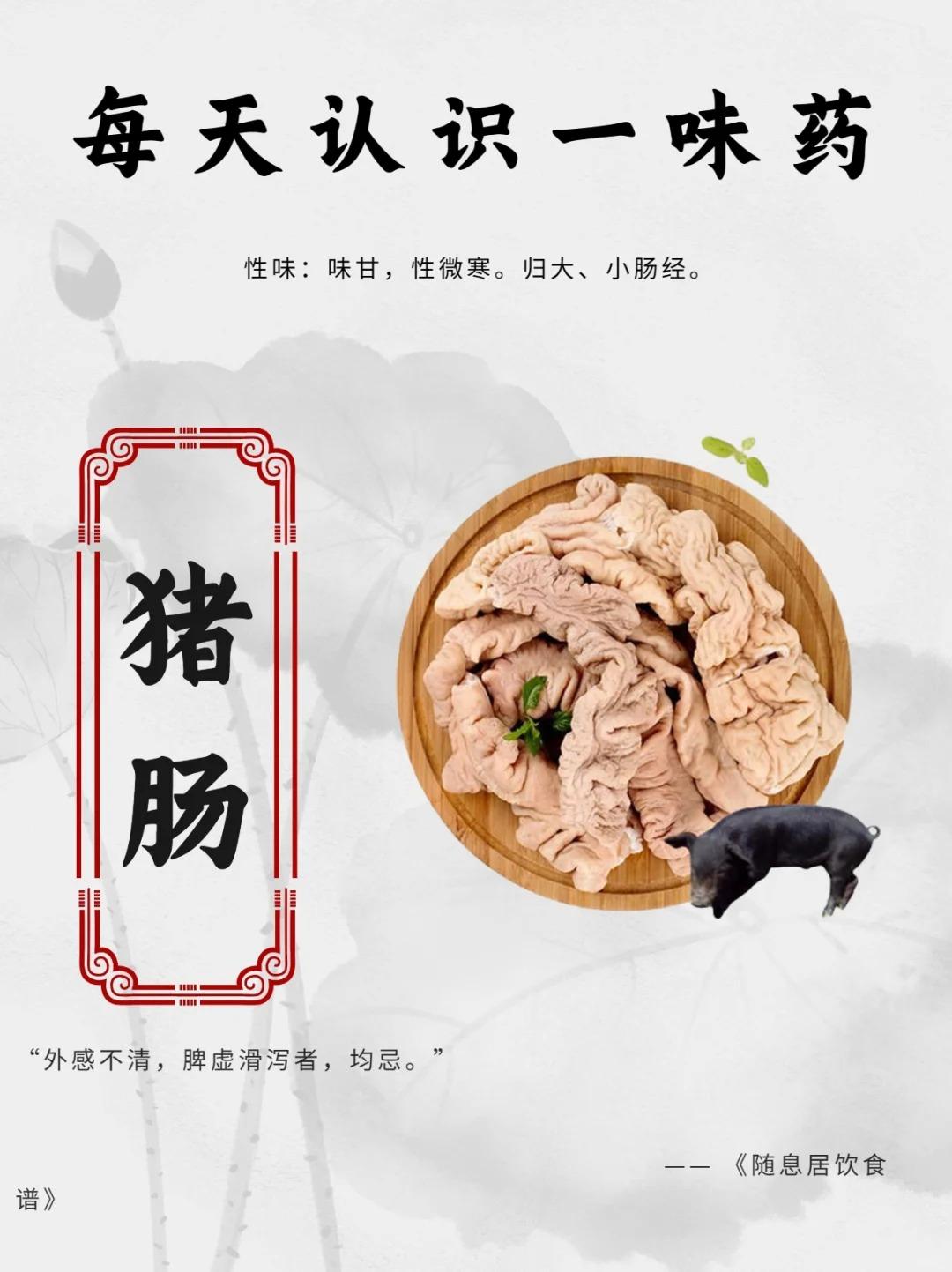 每天认识一味药【猪肠】
猪肠，中药名。为猪科猪属动物猪的肠。 性味归经：味甘，性