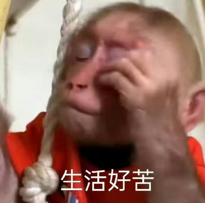 谁懂吃完老板的生日宴还得回公司加班的痛~我是顶级牛马365天超长待机！[单身狗]