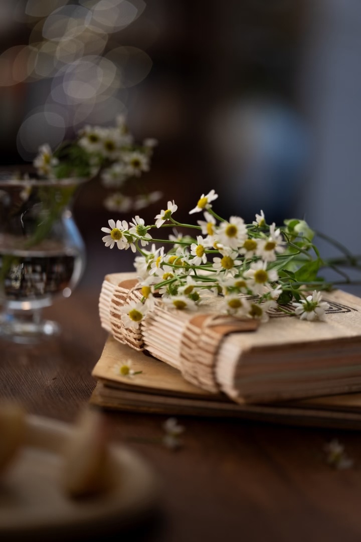 身体最重要早安