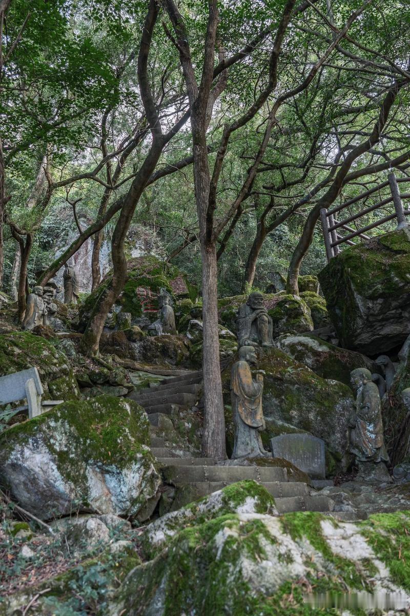 福建旅游，福州蒲竺寺美景打卡攻略！
福州蒲竺寺
美景和美食推荐：
1、五百罗汉山