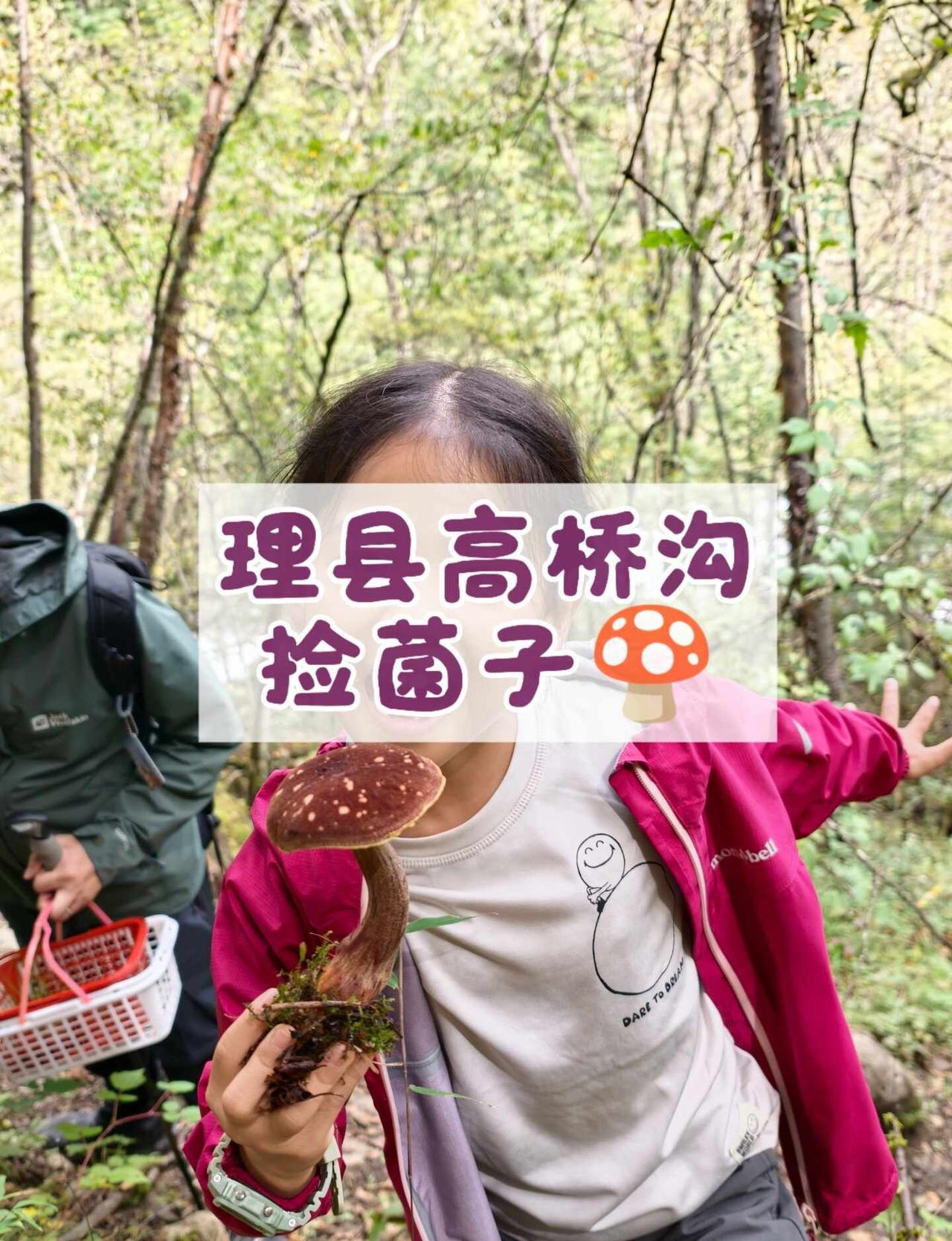 小学生周末不宅家｜高桥沟走了9KM
成都出发3.5h，临时起意去理县高桥沟捡菌子