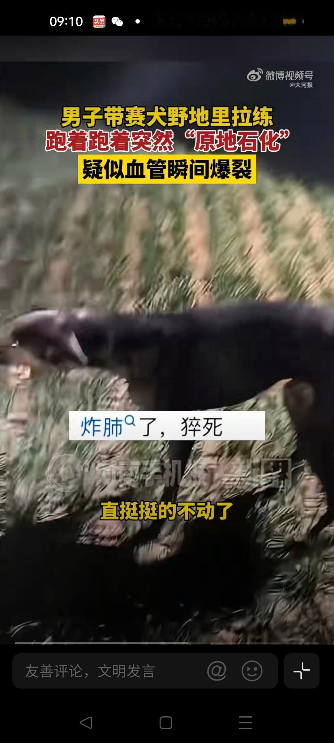 天呐！狗狗拉练竟“原地石化” 
 
家人们，当你看到“狗狗拉练高速跑时突然原地石