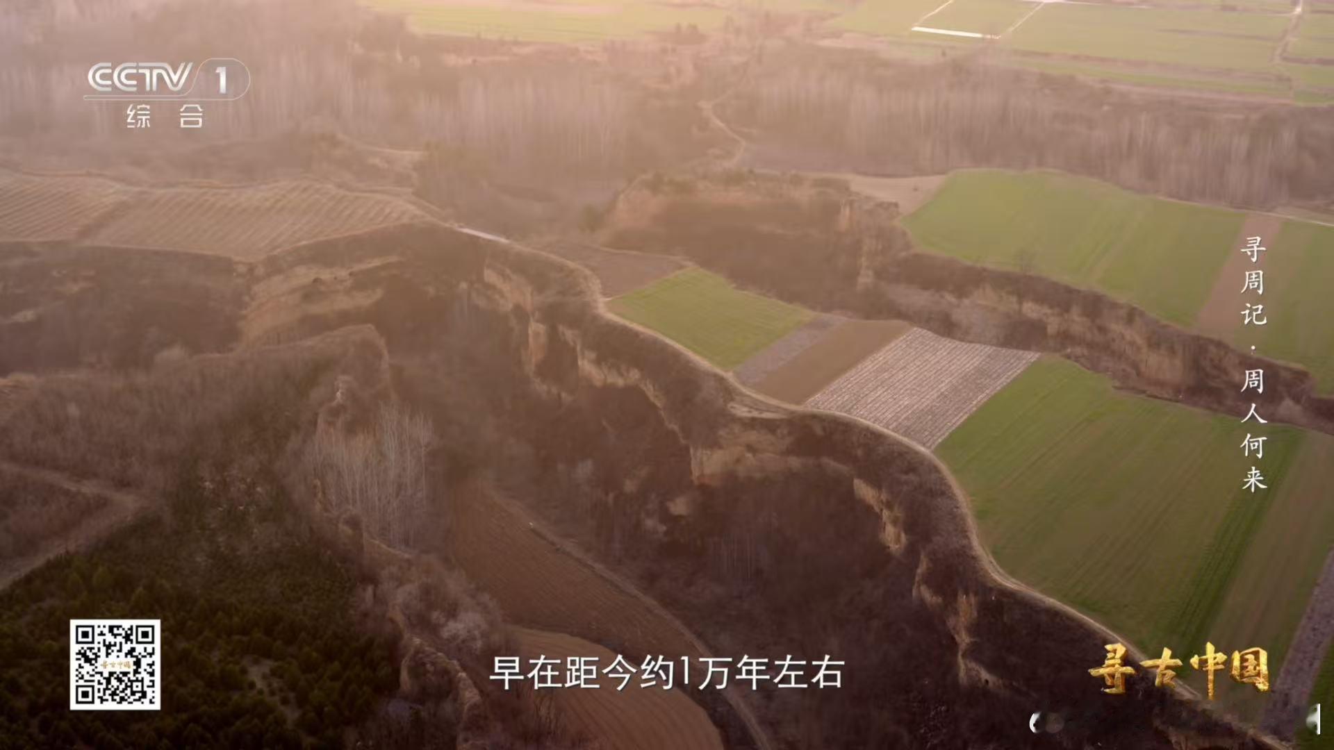 中国人种粮食约1万年了研究表明，早在3000多年前，陕西地区的居民已经通过精耕细