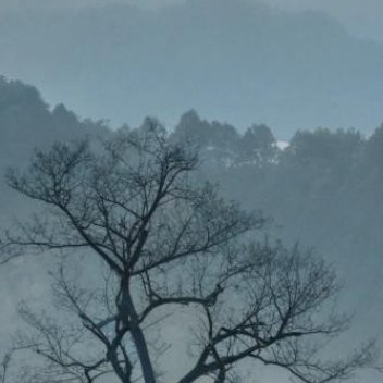 养养 生活最珍贵的内核，是保持心底的纯粹与热忱。在日复一日的琐碎奔波里，很多人慢