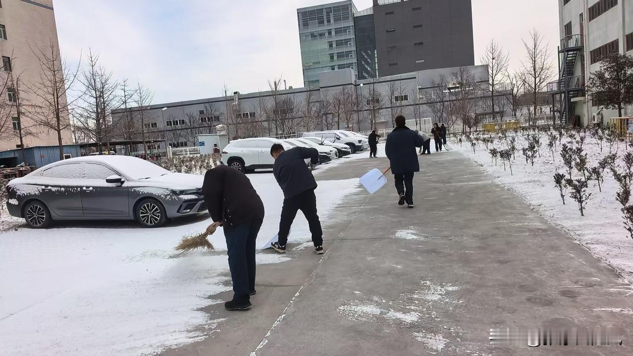 一片天，两个季节。江苏和北京的差异。江苏还在秋天停留，北京的冬天大雪纷飞。

秋