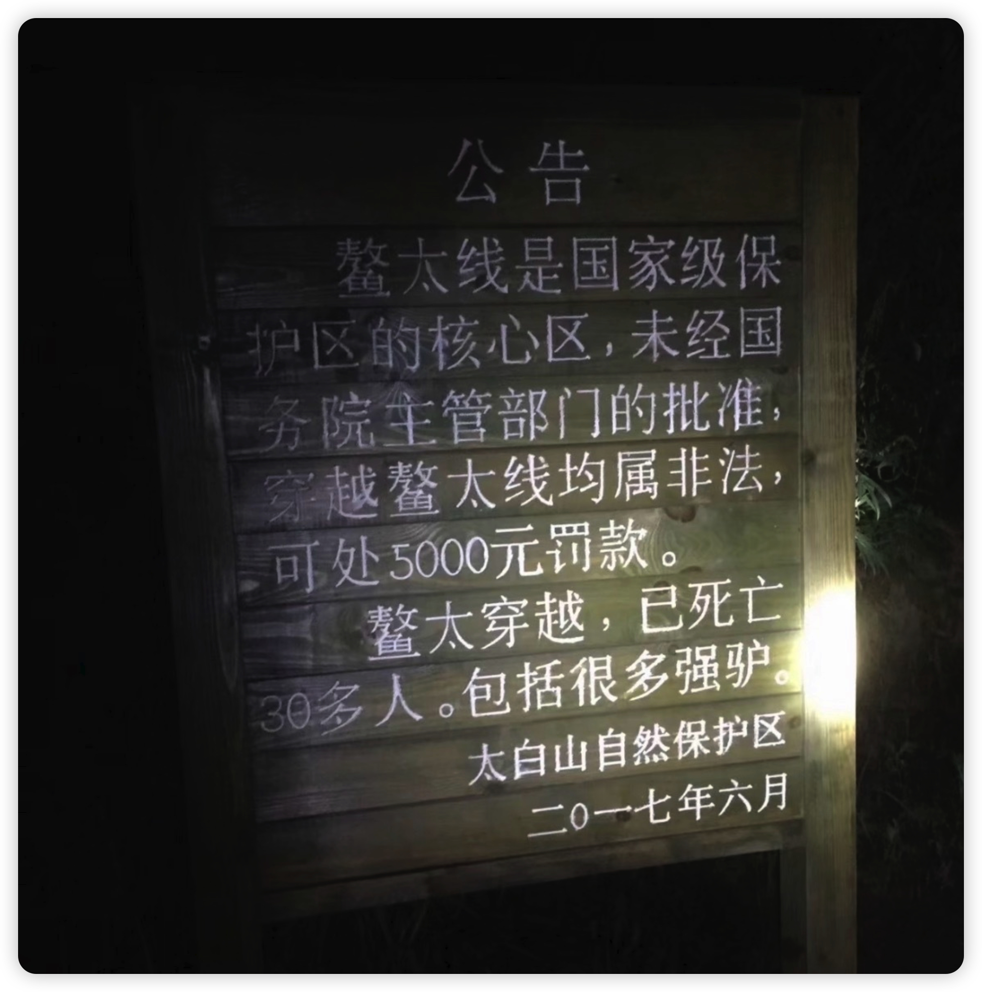 5 个人里，真就没有任何一个人看过神秘园？我服了。鳌太线失联4人1人获救2死1坠