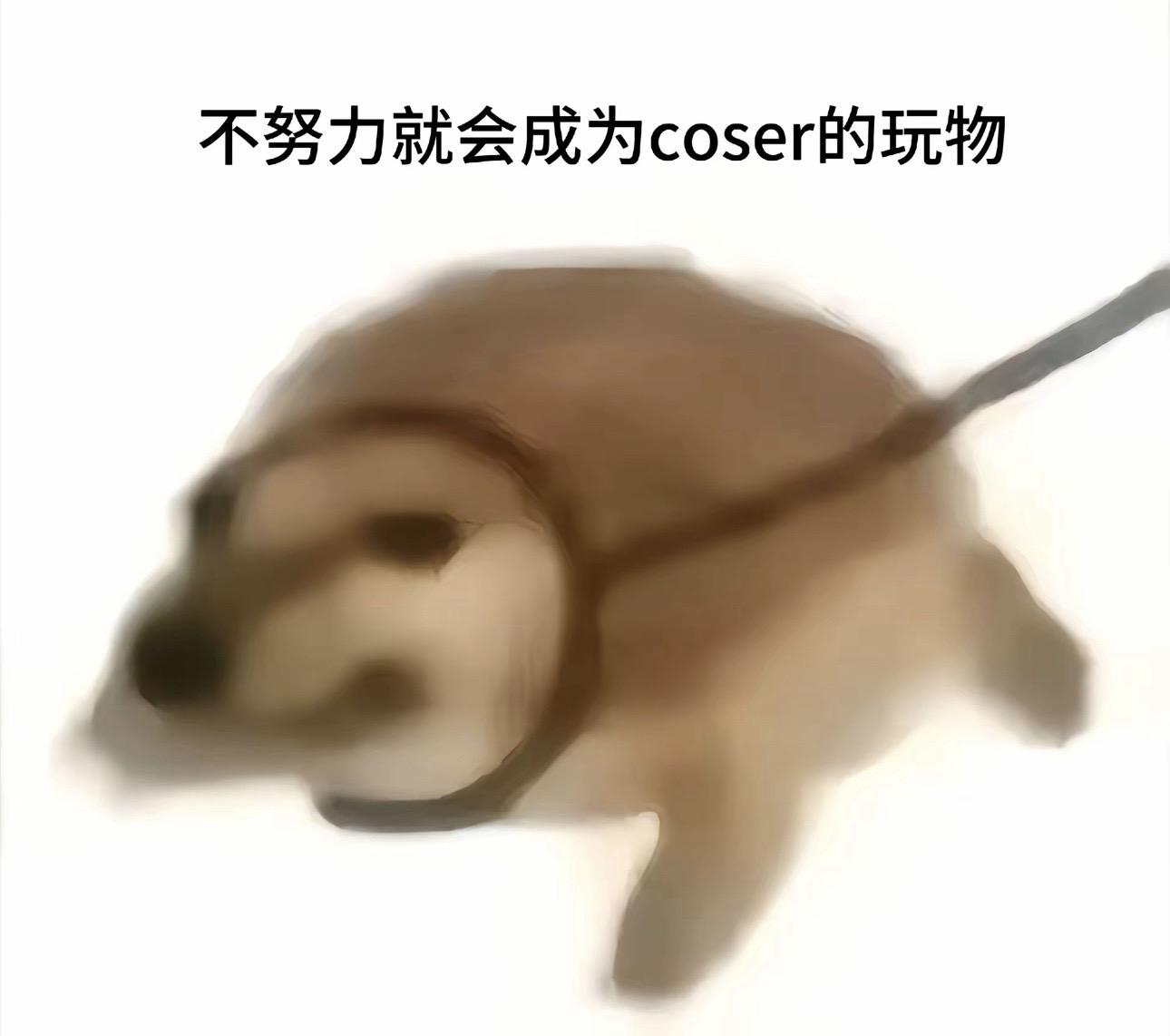 一切尽在卡牌中~莱觅极光袜