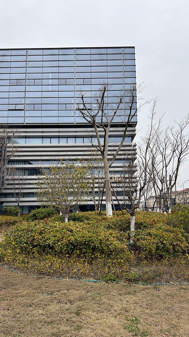 小知识：五年内的丢失了身份证，可以直接网上浙里办补办，不用来线下我的日常plog