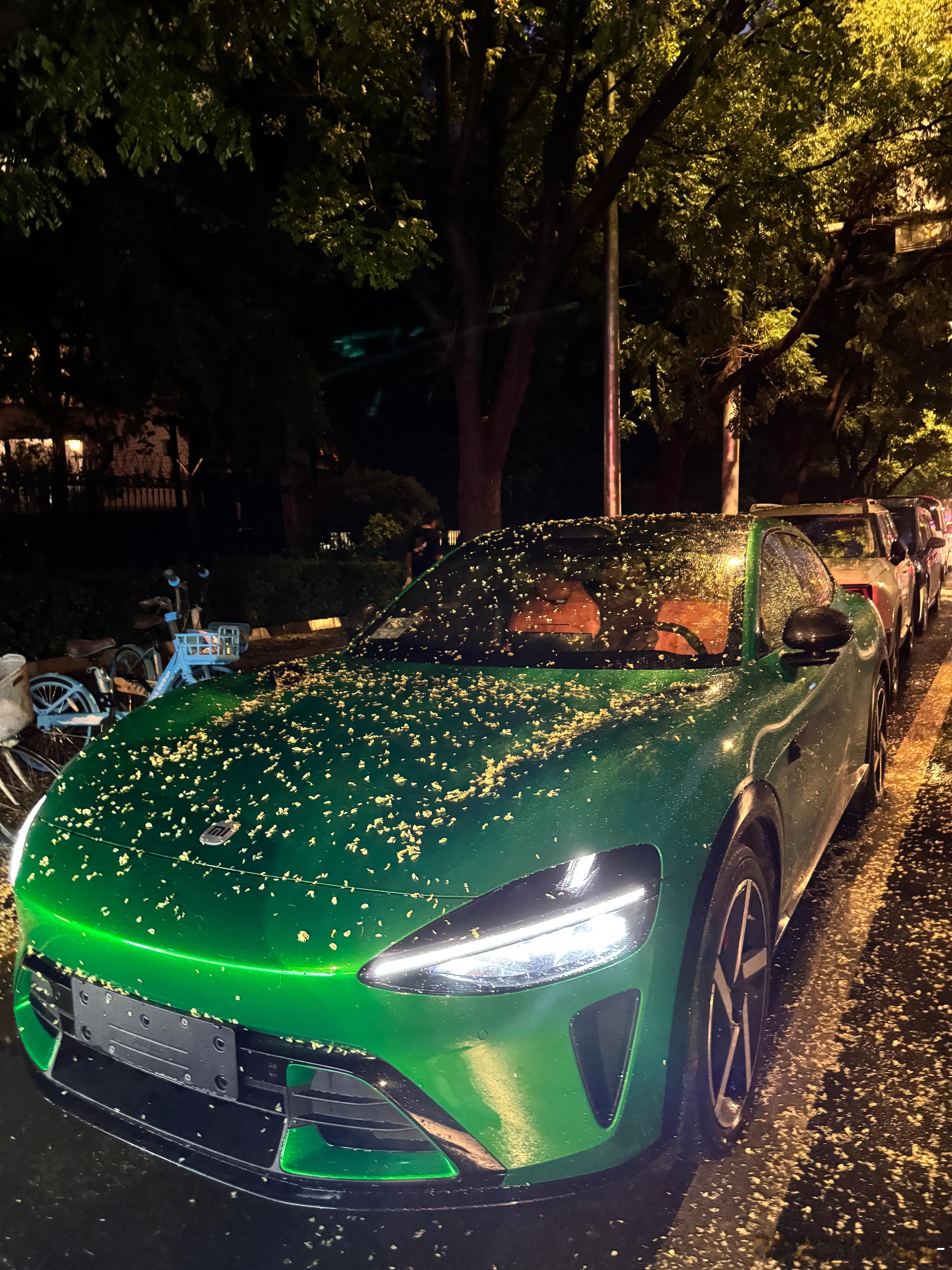 上午刚洗的车…直接铺满了我的小米YU7…. ​​​