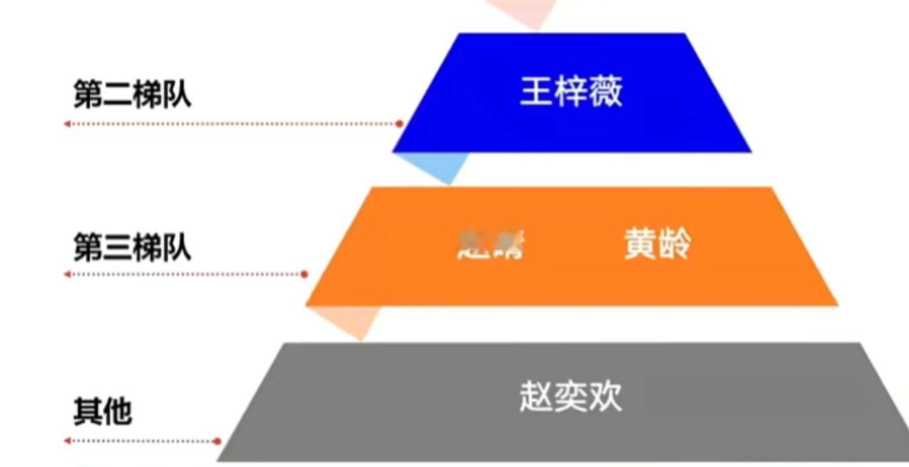 赵奕欢被列为“其他”，李菲儿对赵奕欢的这个同情听起来嘲笑更多一点，李菲儿：“好惨