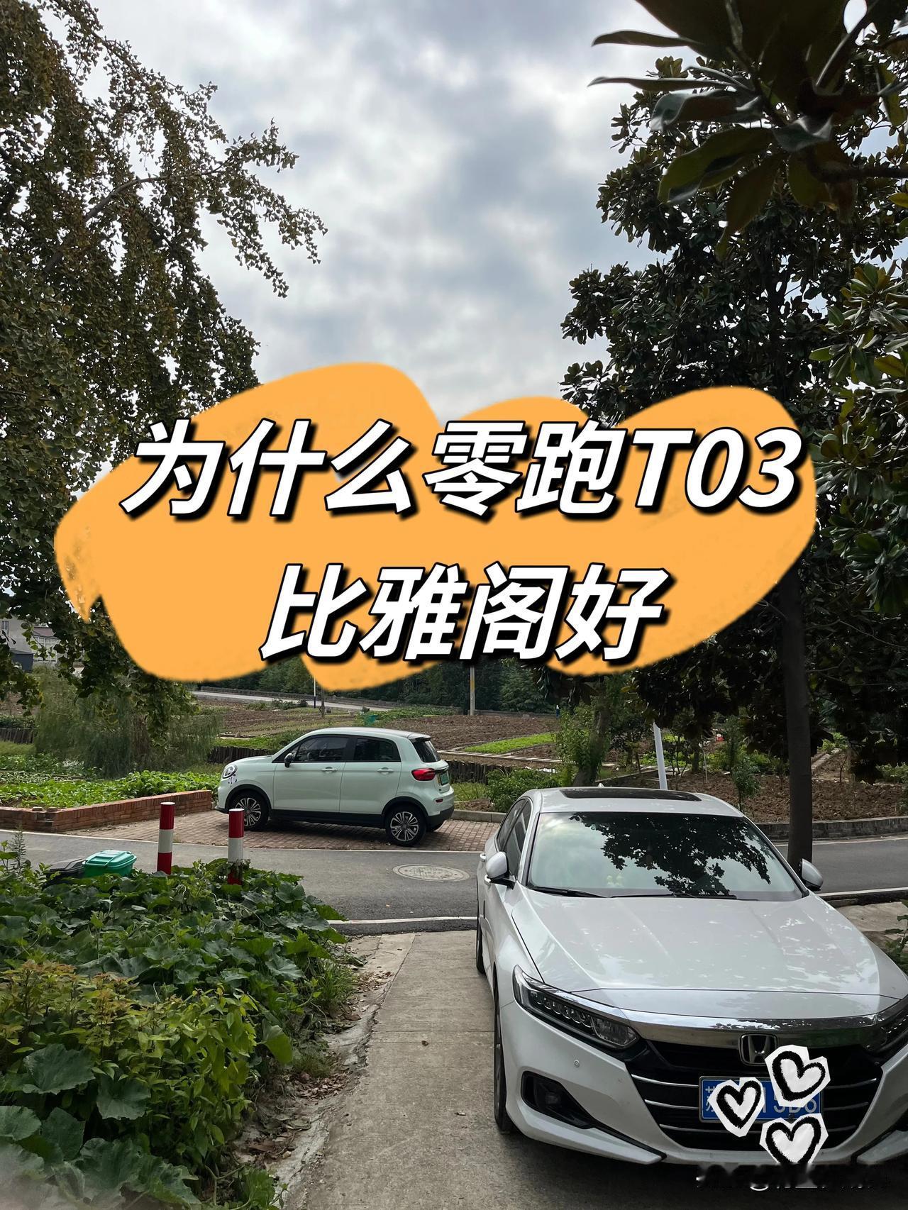 为什么零跑T03比雅阁好

正所谓萝卜青菜各有所爱，自从买了油车之后才知道电车有