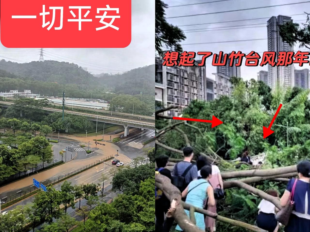 桦加沙”拐道了

据报道“桦加沙”拐道了，一晚上担惊受怕，天亮了终于松口气，睡一