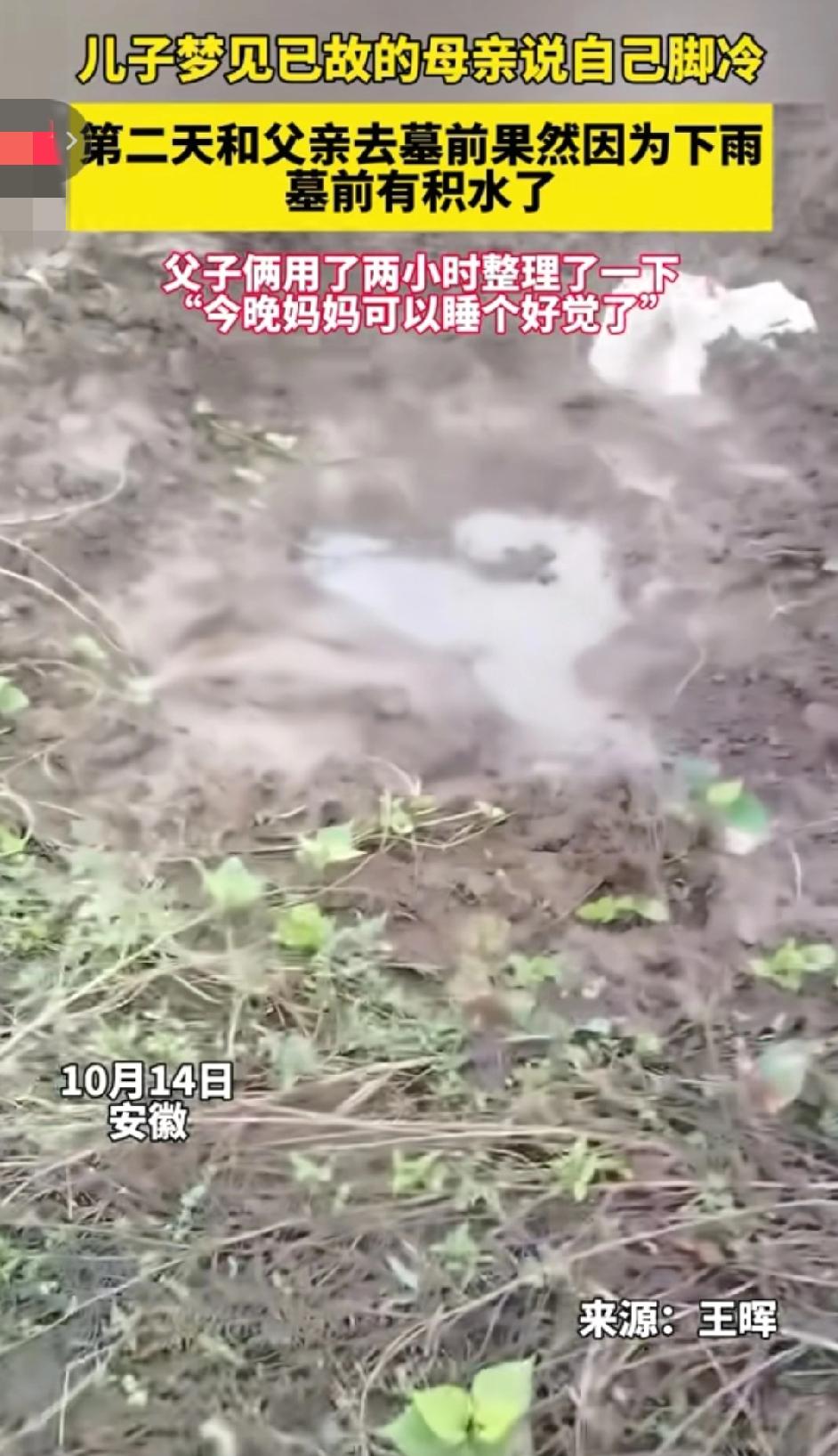 家人们谁懂啊！
安徽六安这事儿，
看完眼睛直接湿了！

儿子梦见妈妈说脚冷，
没