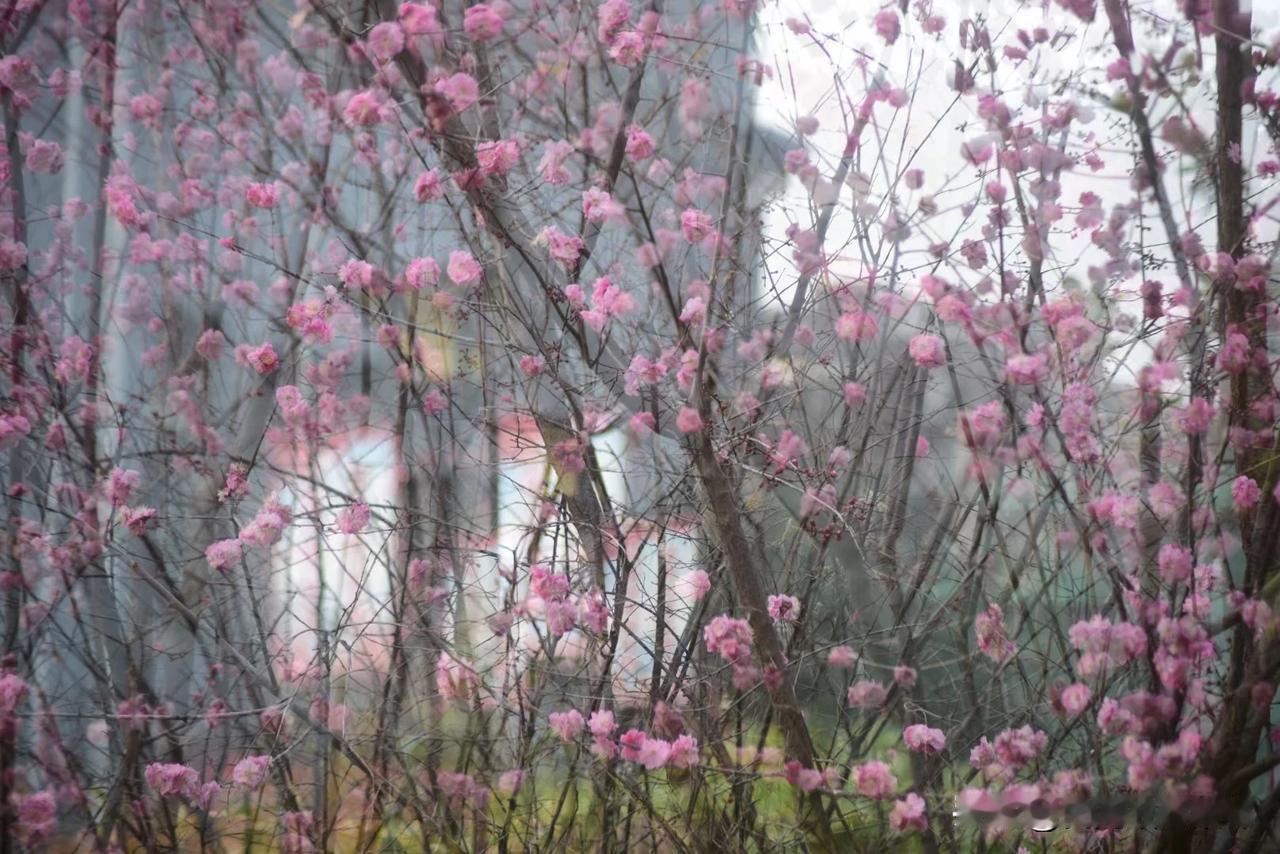 #春日生活打卡季#今天天气不好下雨了，心情也不怎么好