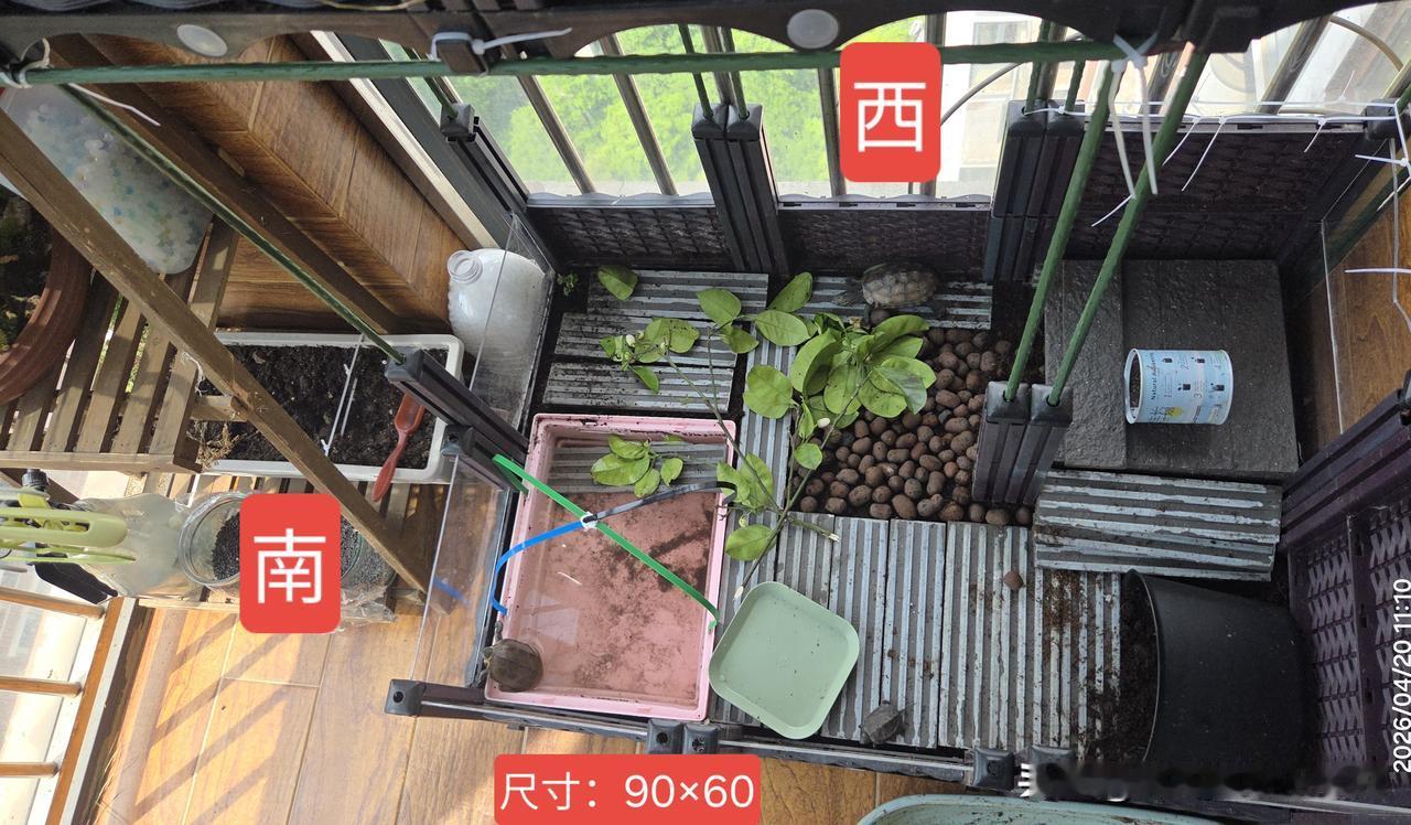 请教一下，我这龟箱，有没有不合适的地方？
西晒的问题我准备找一块啥泡沫板纸壳子遮