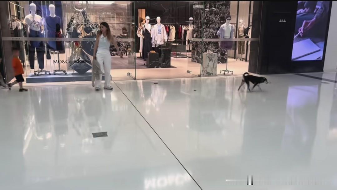 浙江省绍兴万达影城（绍兴柯桥万达广场店）允许宠物进入，然后这条狗给这个商场拉了一