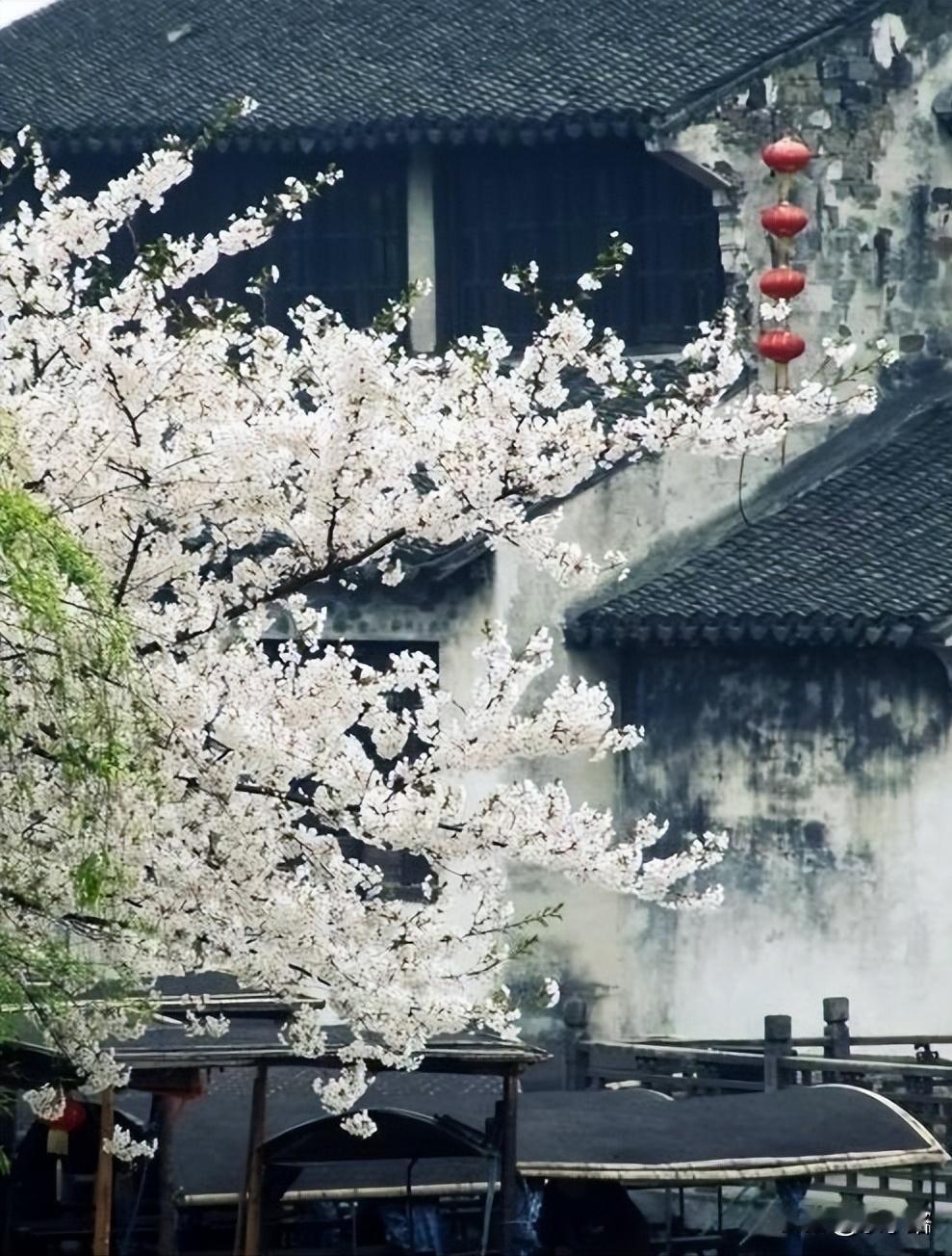 刚刷到一个视频，一位道长在讲玄学命理。他说命理上看，小财是养命的，大财是要命的，