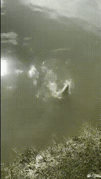 又是被鱼儿嘲讽的一天，钓鱼佬都来了一天了，硬是一条鱼都没有钓到。