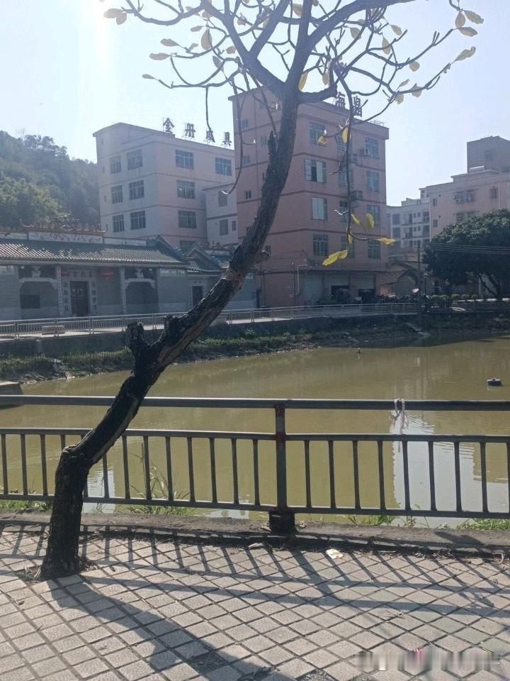 藏在老城区的宝藏打卡点｜南山小公园攻略

谁说老城区没有惊喜？🌿这座低调的小公