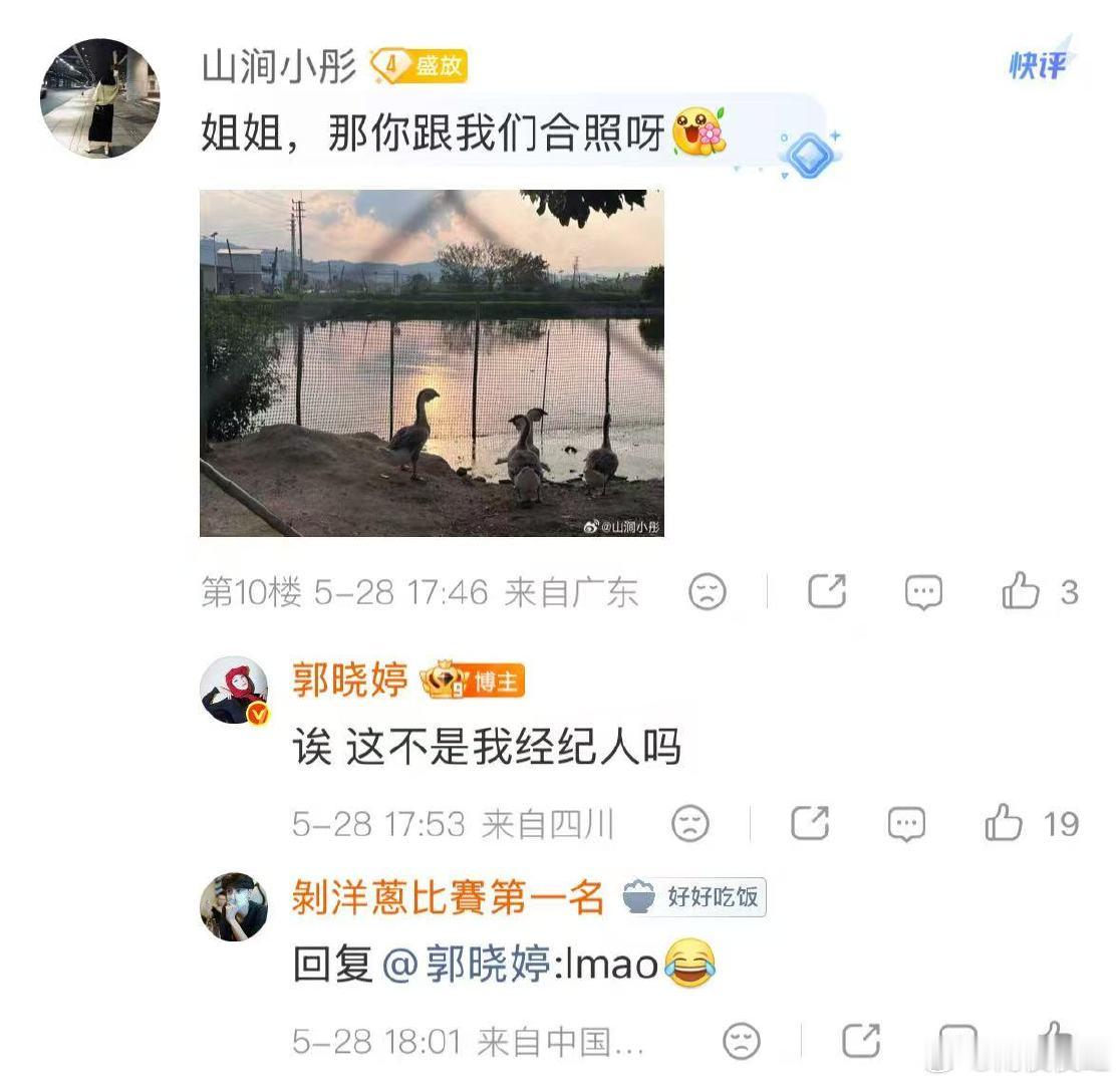 郭晓婷疑似对小牛犊爱而不得郭晓婷在线求和小牛合照教程 牛妈妈气场十足，直接阻断合