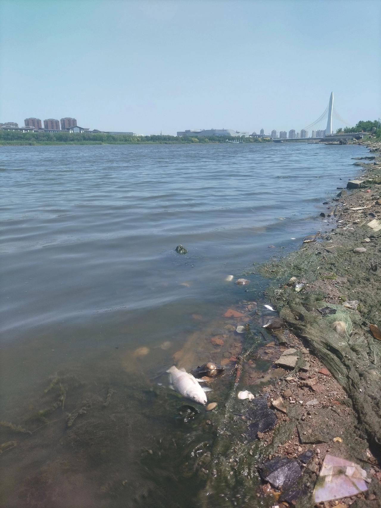 蓟运河，全身河蚌