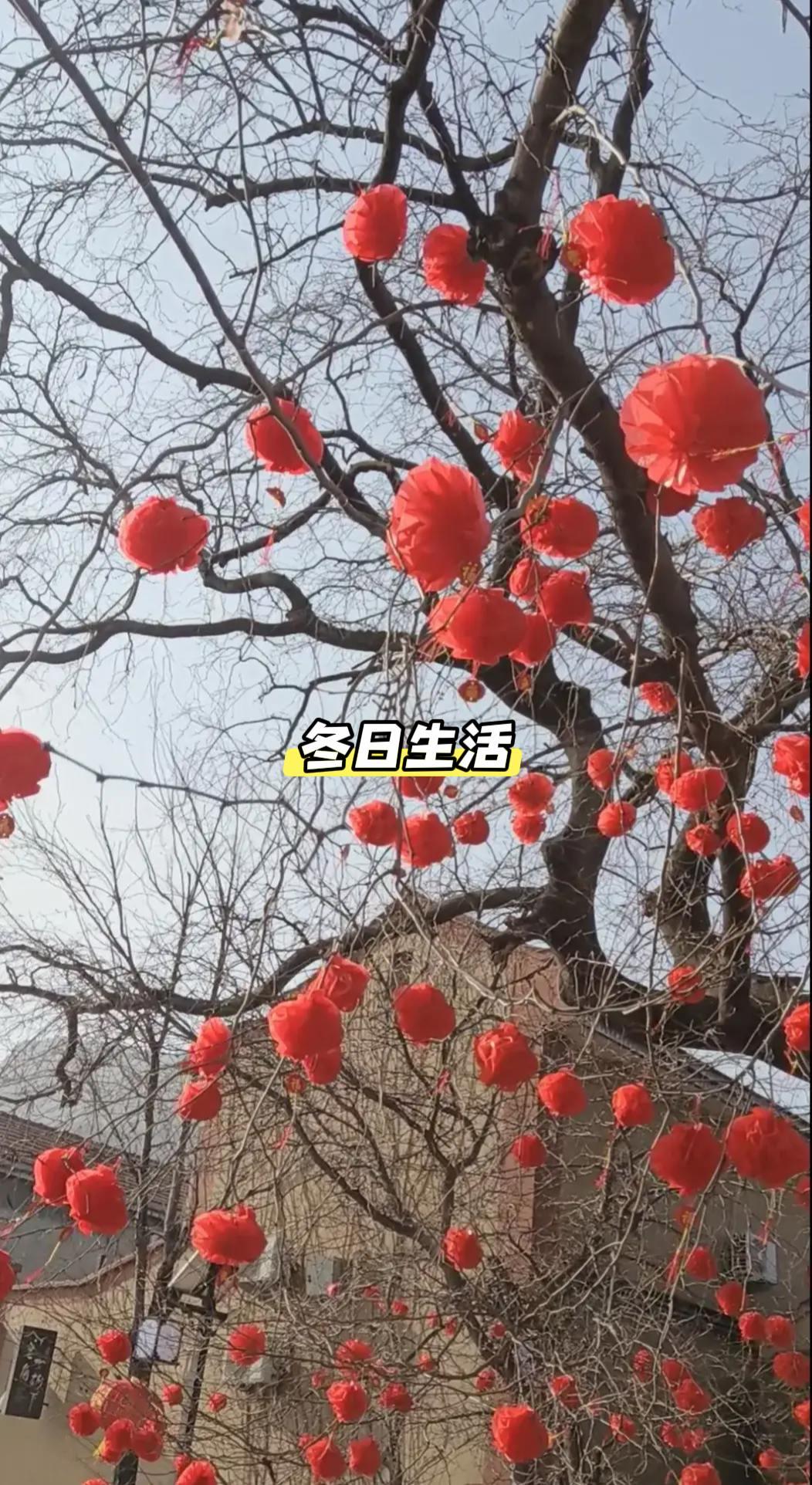 冬日生活打卡季 冬日的人间烟火都在路边摊