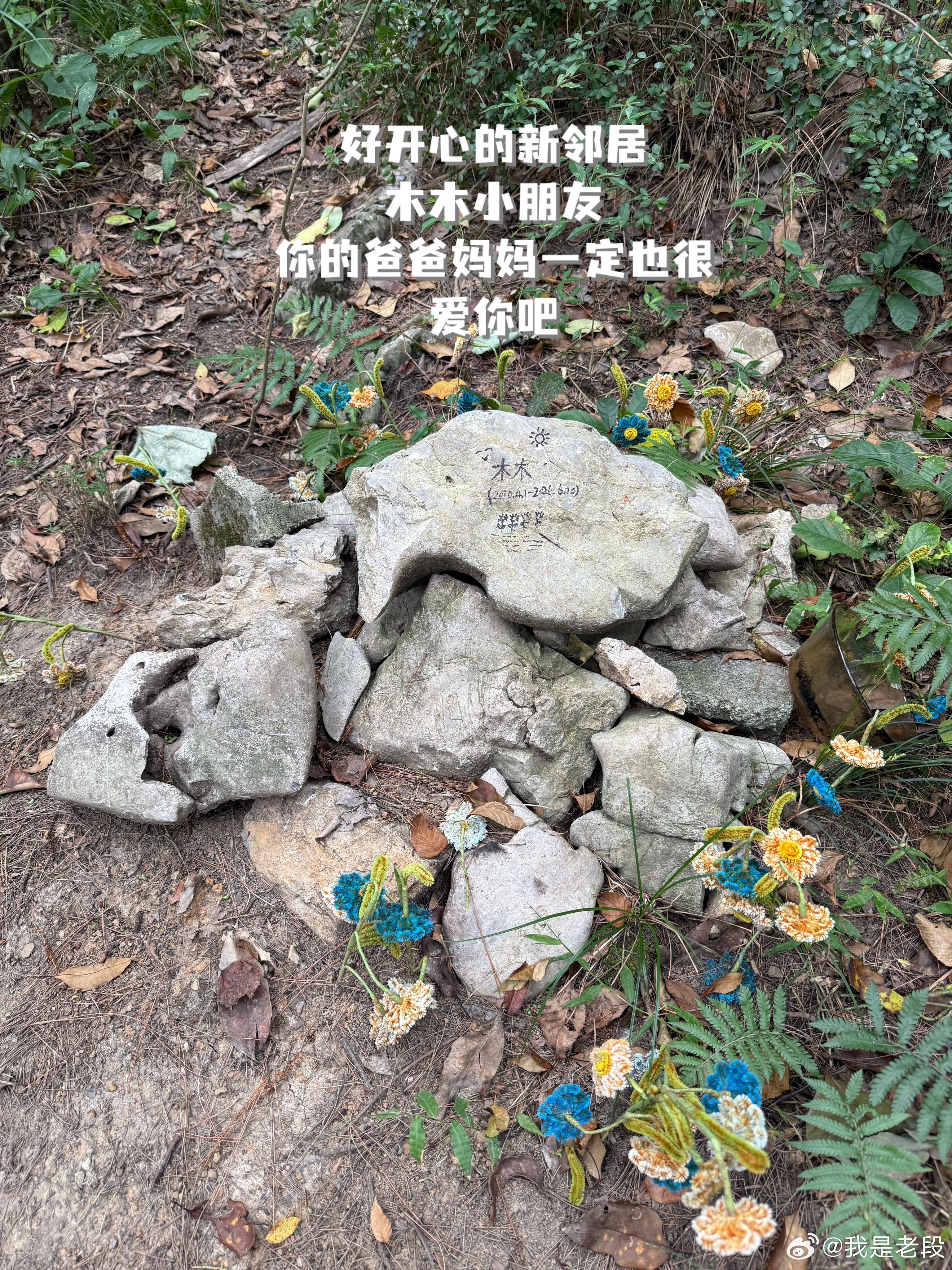 很幸庆当时给好开心葬在山上，不会被打扰也不会被开发破坏，每次回来还能来看看它。当