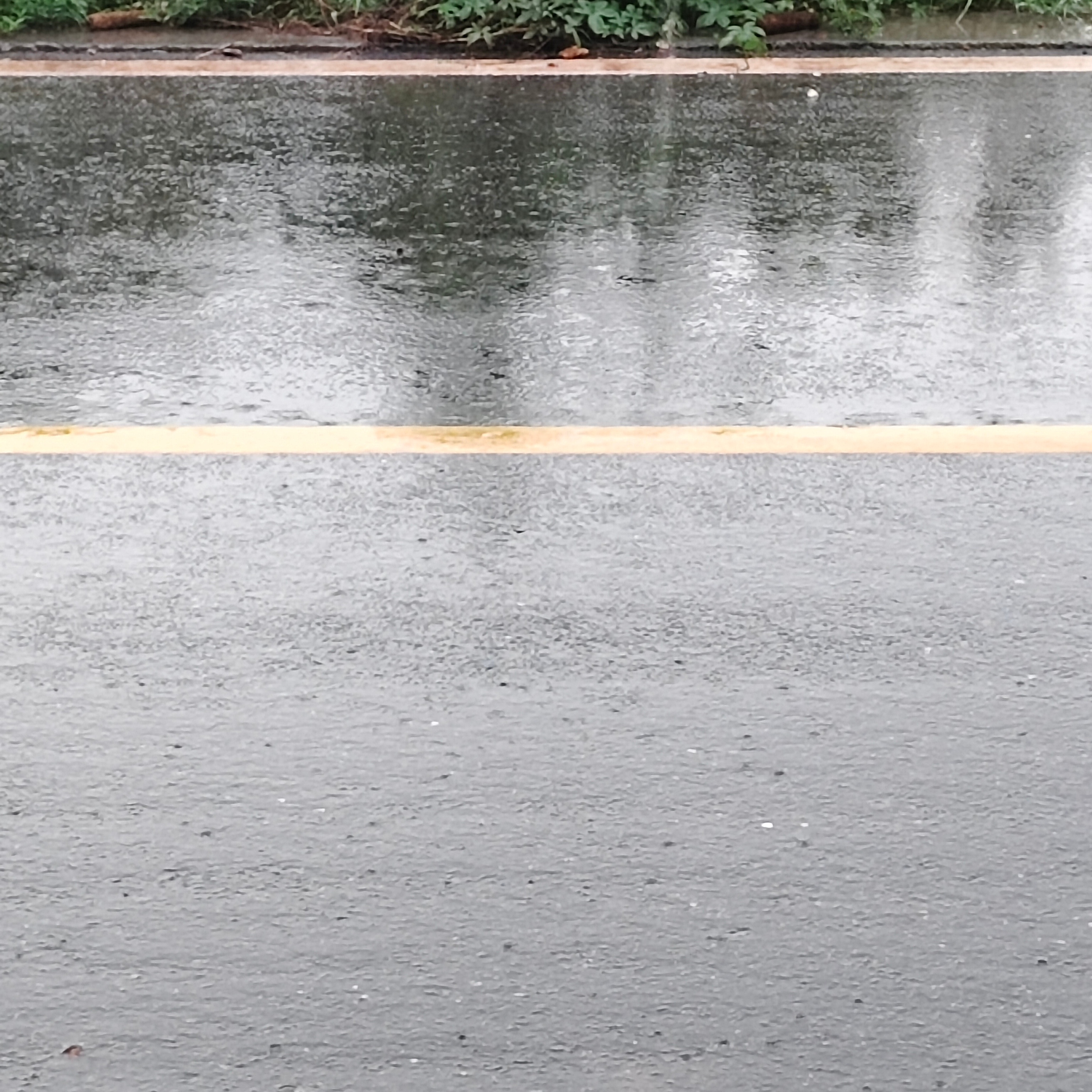 回笼觉睡醒了还是好困怎么天天下大雨 ​​​