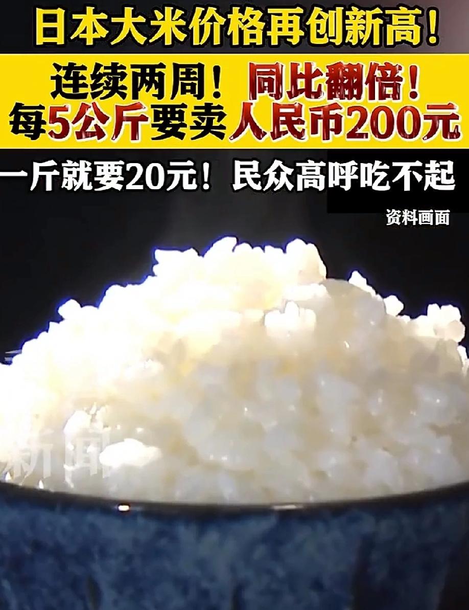 日本人，吃不起饭了，还一天天叫嚣！
日本的大米价格，一直都贵的惊人，如今更是达到