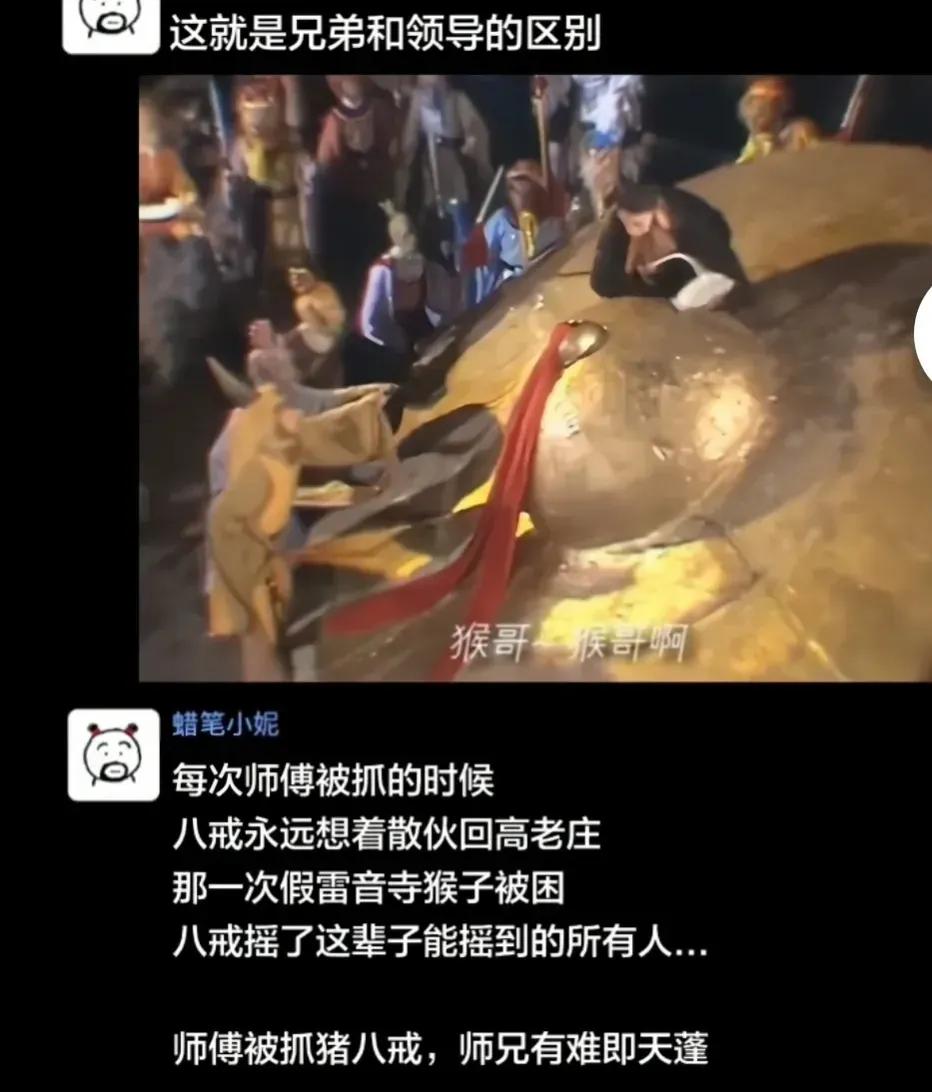 猴哥有难，八戒是真帮啊