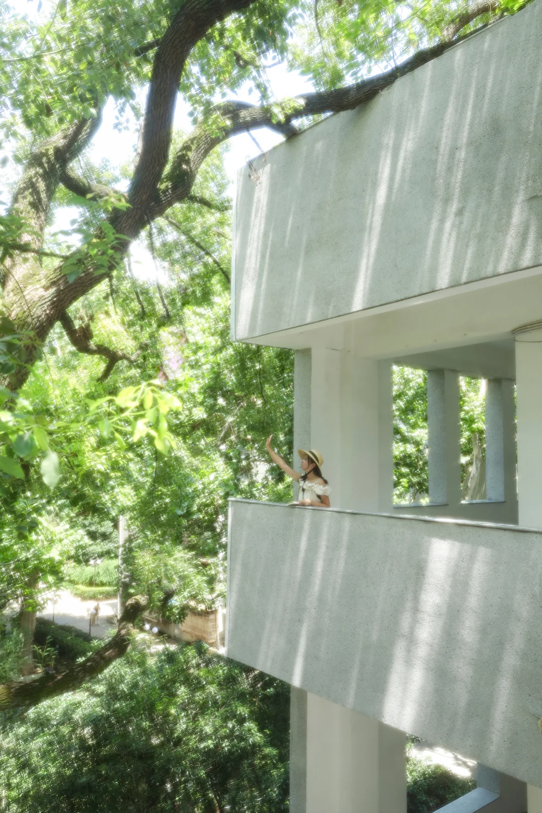 美到失语❗️在武汉被蓬勃树张力硬控2H