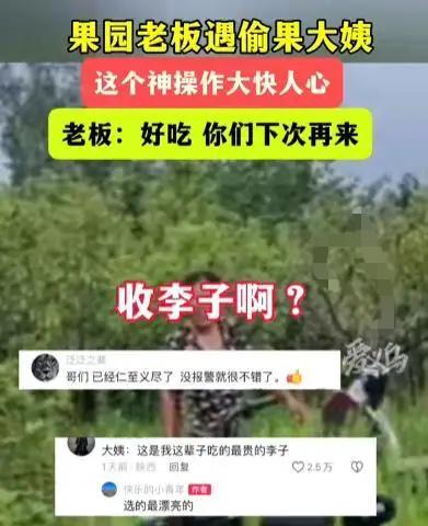 “白嫖失败反被嫖！”山东济宁，男子去果园，发现有2个大妈拿着水桶，在偷摘他家李子