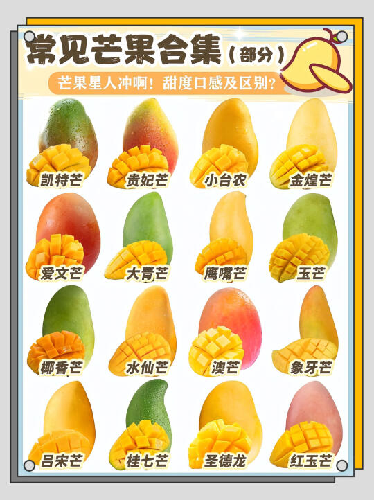 🥭芒果控必收藏！16种常见芒果大揭秘