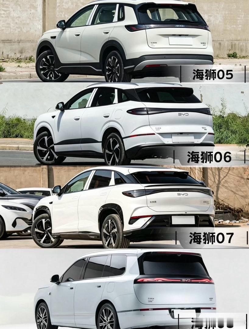 比亚迪海洋网的SUV序列统一命名为海狮系列，从05到08一共四台，七月一共490