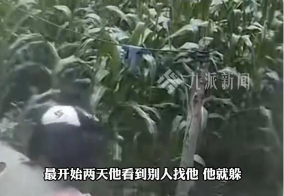 终于找到了！云南11岁男孩被奶奶骂了几句，跳进玉米地消失5天，被找到时正躲在空置