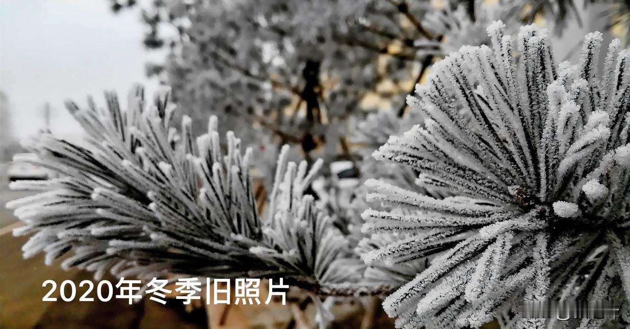 呼和浩特旧照片：分享一张2020年大年初一（一月30日）的一张旧照片吧，早上一觉