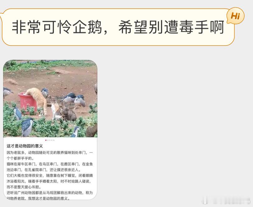 ？？？猫跟鸟在一起？！ ​​​