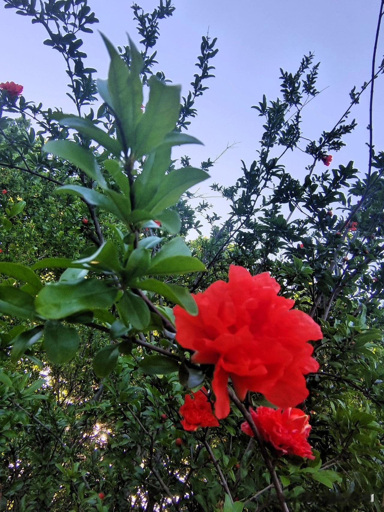 人老了健康重要，钱也重要，两样都重要，如果两样都有，那是人生最大赢家，也是最幸运